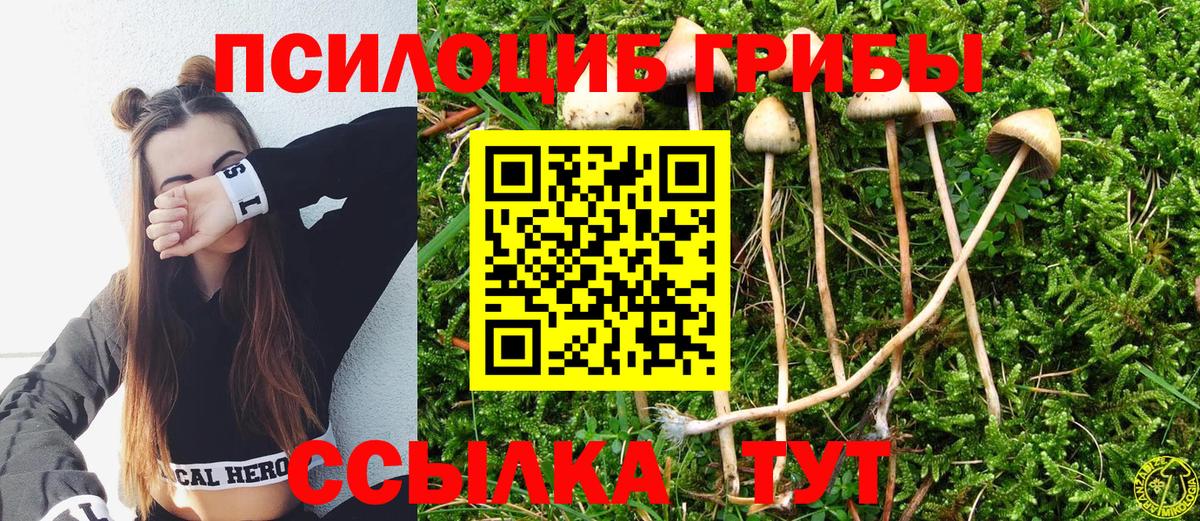 Златоуст  Псилоцибиновые грибы мицелий  Вход с VPN 